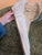 Le manteau Sylvestre - sauge