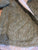 Le manteau Sylvestre - sauge